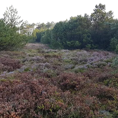 Casa vacanze 12 Person In Tarm-by Traum *