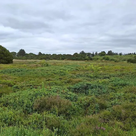 Casa vacanze 12 Person In Tarm-by Traum