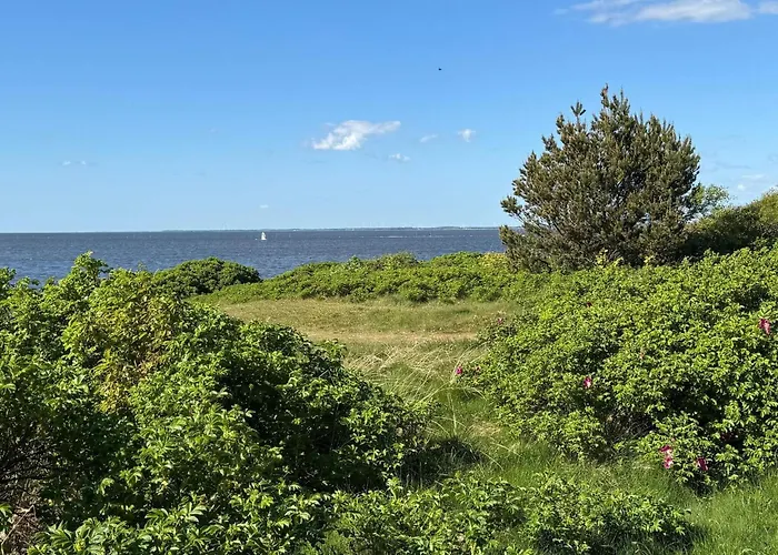 12 Person In Tarm-by Traum Nyaraló